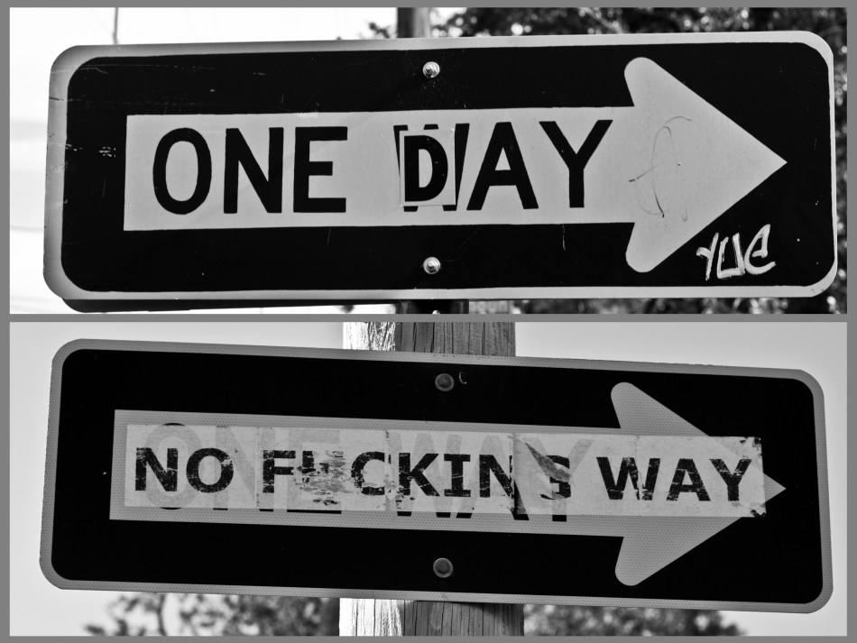 Two One Way Signs that have both had stickers applied to them so that they read "one day" and "no fucking way"