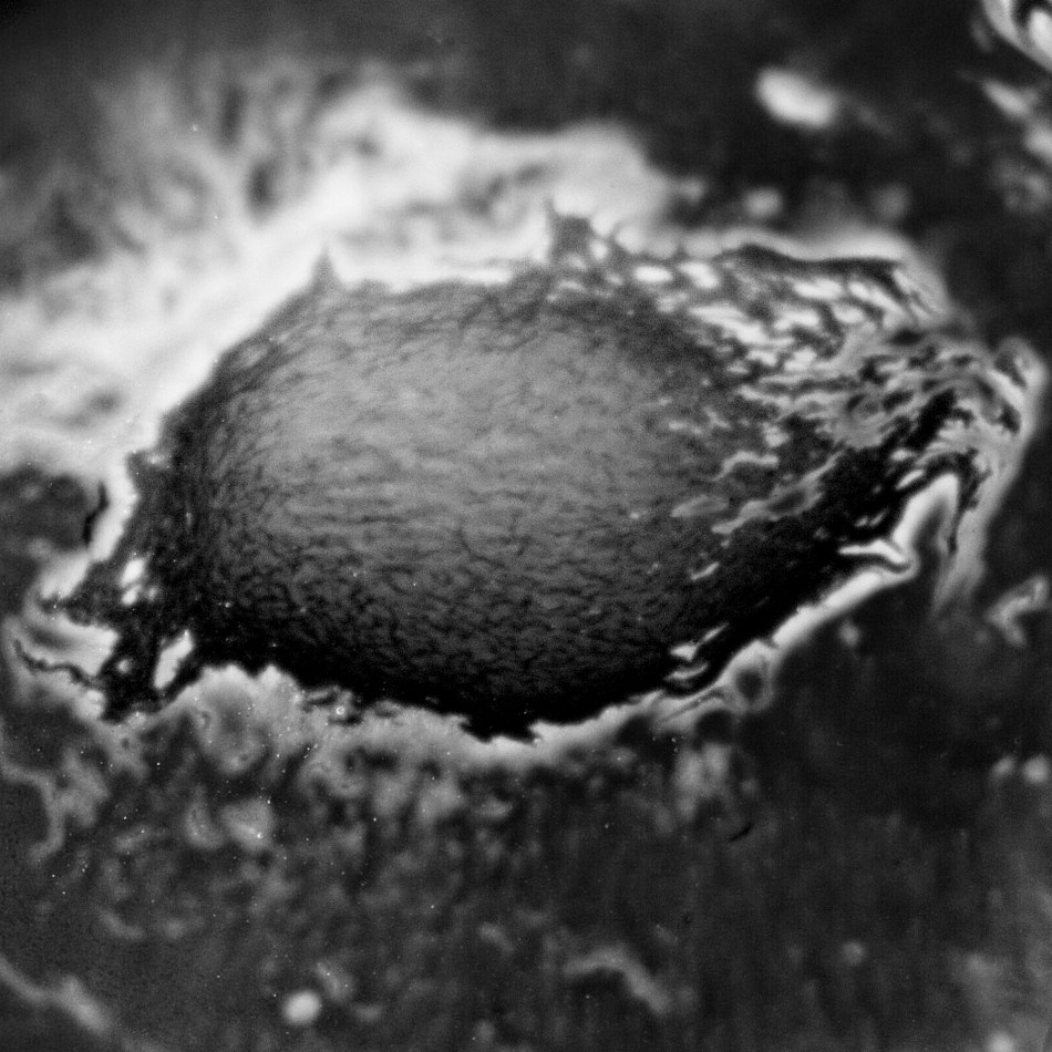 A black & White closeup of a cup of coffee