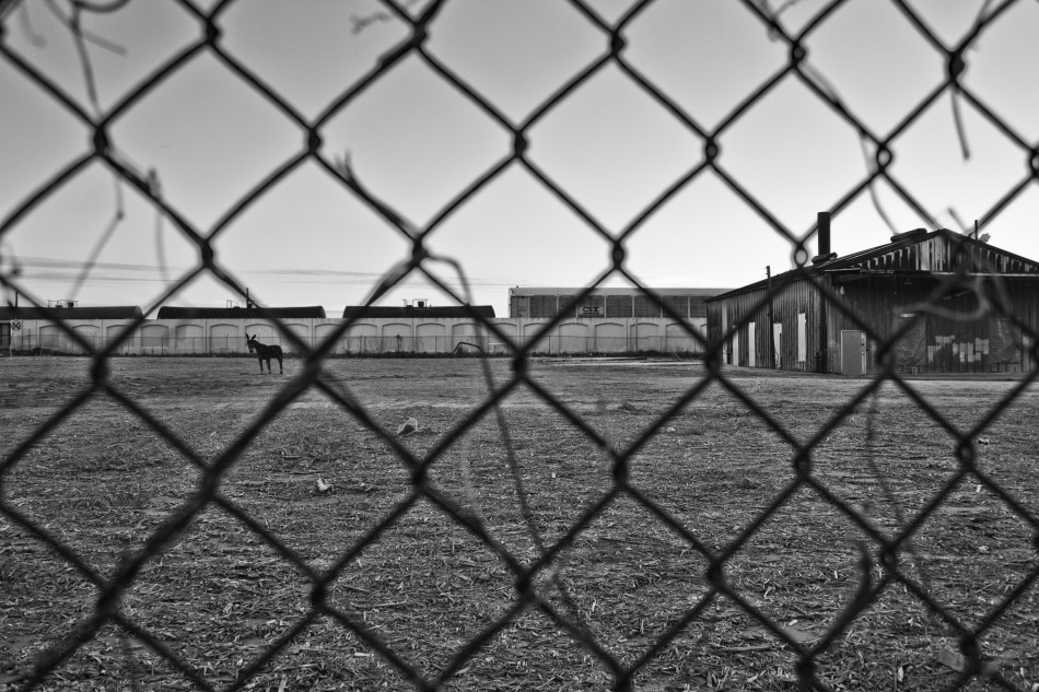 Looking through a fence at an empty lot in the Bywater of New Orleans, LA