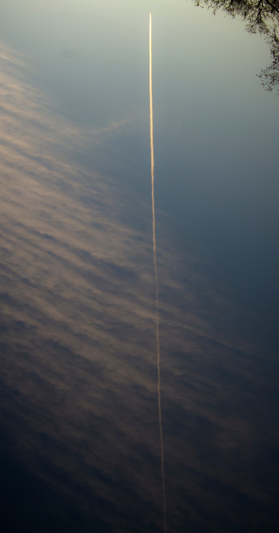 A jet and its jetstream in the sky