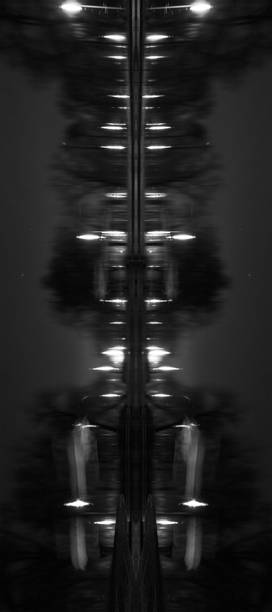 An abstract black and white photograph that is the mirror image of swans on a pond at night. Photo by Braden Piper bgpiperphotography.com