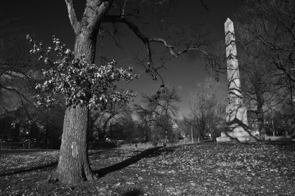 A black and white image of a tree and an obelisk in Benton Park, St. Louis, MO. Photo by Braden Piper bgpiperphotography.com